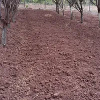 شخم باغات و گلخانه با دو دستگاه تیلر دیزلی ۱۲ اسب|خدمات باغبانی و درختکاری|کرمانشاه, |دیوار