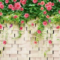 پوستر گل صورتی|تابلو، نقاشی، عکس|بندر ماهشهر, |دیوار