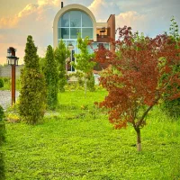 اجاره کلبه ویلای مینیمال دل جنگل با جکوزی