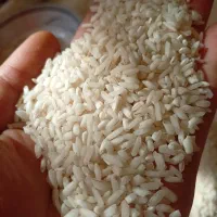 برنج  هاشمی سرلاشه