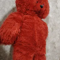 خرس شاسخین