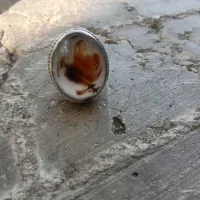 شجر|جواهرات|بیرجند, |دیوار