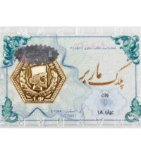 سکه پارسیان ماربر