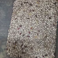 لوبیاچیتی