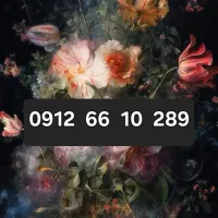 سیم کارت همراه اول