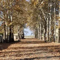 فروش زمین مسکونی125متر