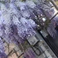 کلنگی-176-متر-همراه-با-25-متر-تجاری-فعال-بر-9ونیم