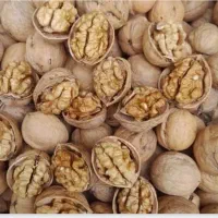 گردوی پر مغز مراغه مستقیم از کشاورز