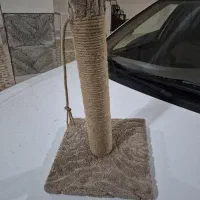 وسایل بازی گربه