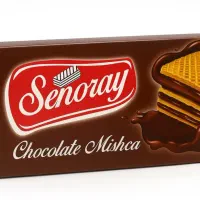 ویزیتور با حقوق بالا