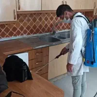 سمپاشی با مجوز و ضمانت سم پاشی سوسک ساس موش بید کک