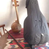 دکوری نی س ت