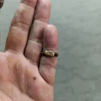 مهر طلا|جواهرات|رشت, بلوار گیلان|دیوار