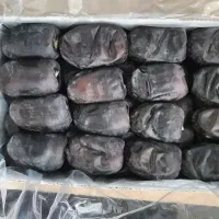 رطب درجه یک صادراتی