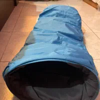 بازی پت
