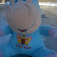 پولشو نیاز دارم همشون ۳۰۰ هزار