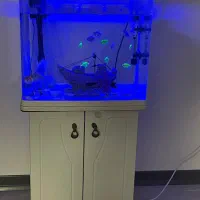 فروش اکواریوم و ماهی|ماهی|نیشابور, دارایی|دیوار