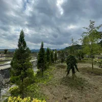 هرس و خدمات باغبانی