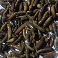 خیار شور همدان  ویژه عمده