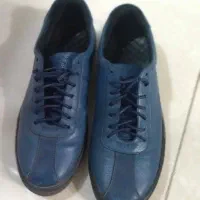 کفش چرم (کفش ملی)