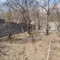 باغچه میوه معاوضه با آپارتمان|فروش زمین و ملک کلنگی|تهران, بهاران|دیوار