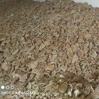 فروش جزعی و کلی نان خشک