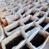 زغال درجه یک صادراتی