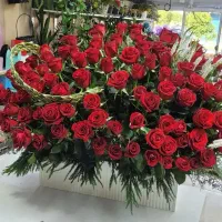 باکس گل سفید|گل و گیاه طبیعی|شیراز, خلدبرین|دیوار