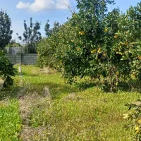 زمین فوق به متراژ ۲۰۰ متر می باشد