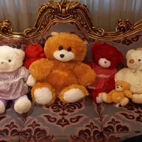 تعداد  ۱۲ عدد عروسک های قشنگ وبادوام