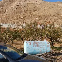 فروش یا معاوضه با خودرو باغ در عارفی سرچشمه|فروش زمین و ملک کلنگی|مشهد, طرق|دیوار