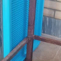 سینی سگ
