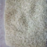 برنج کامفیروزی و خورده برنج