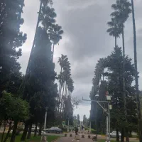 زمین-153-باسند-ششدانگ-طالقانی-بیست-متری