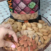 بادام درختی مامایی اصفهان