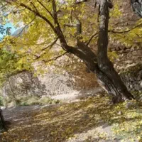 100متر-زمین-داخل-بافت-مسکونی-روستا