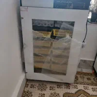 دستگاه جوجه کشی