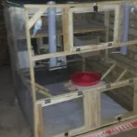 عروس هلندی