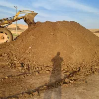 کود گاوی سوخته چند ساله و خیلی هم تمییز