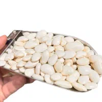 لوبیا سفید و قرمز