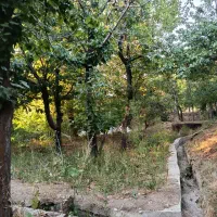 باغچه ۲۳۳ متری در منطقه خوش آب‌وهوای خورارنگه|فروش زمین و ملک کلنگی|آسارا, |دیوار