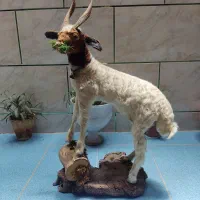 مجسمه|مجسمه، تندیس، ماکت|یاسوج, |دیوار