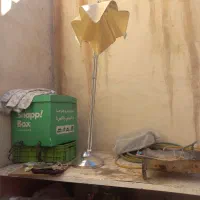 نوه|چراغ خواب و آباژور|کرمان, |دیوار