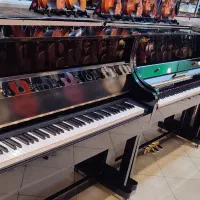 پیانو ببر فقط 28