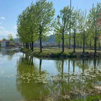 تدریس خصوصی زبان انگلیسی (آیلتس)