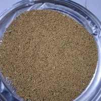 بذر یونجه
