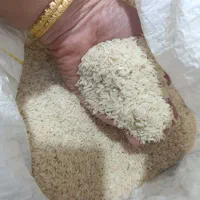 برنج طارم هاشمی 50کیلو موجود