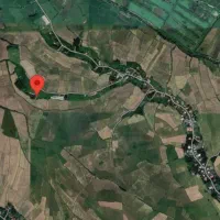 گاوداری 100 راسی(پرواری) خمام-شیجان|فروش دفتر صنعتی، کشاورزی، تجاری|خمام, |دیوار