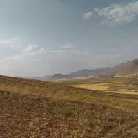اجاره زمین دیم