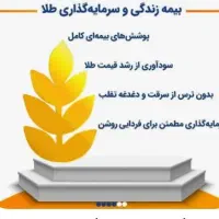 بیمه طلای خاورمیانه برای سرمایه گذاری|خدمات مالی، حسابداری، بیمه|گرگان, |دیوار
